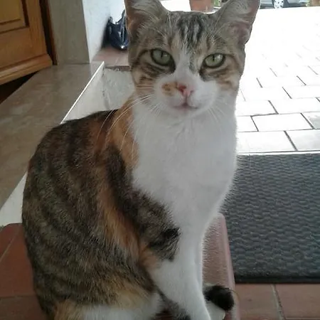 La Piaggia Montemerano