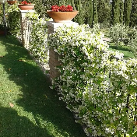 Bed & Breakfast La Piaggia