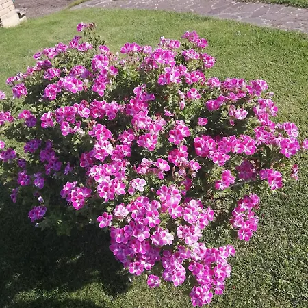 La Piaggia