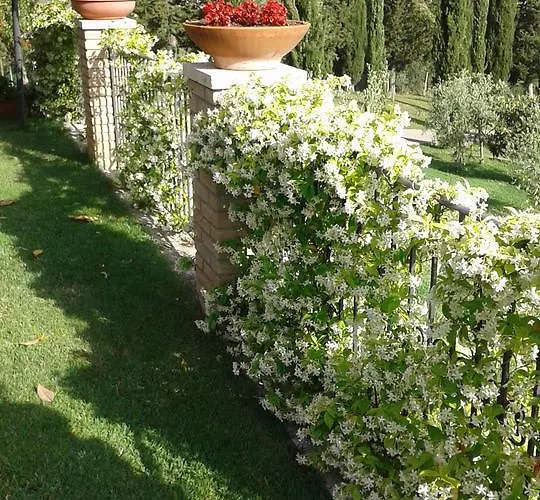 Bed and Breakfast La Piaggia