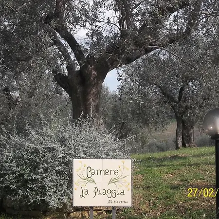 La Piaggia Oda ve Kahvaltı